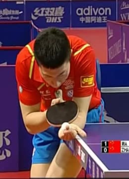 中国泳坛注 中国泳坛注