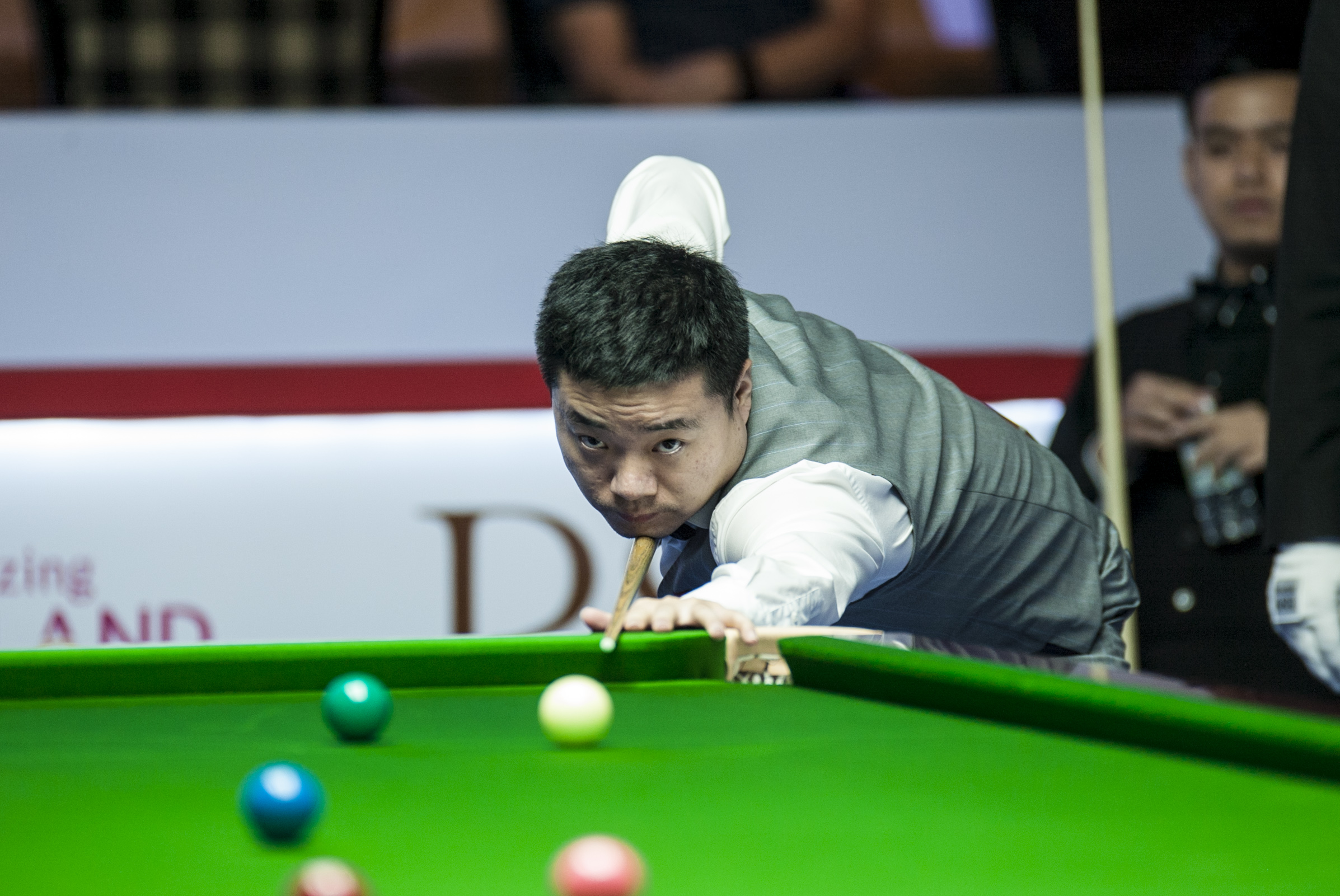 旺盛的斗志 旺盛的斗志