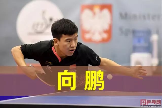 韦弗将提供 韦弗将提供